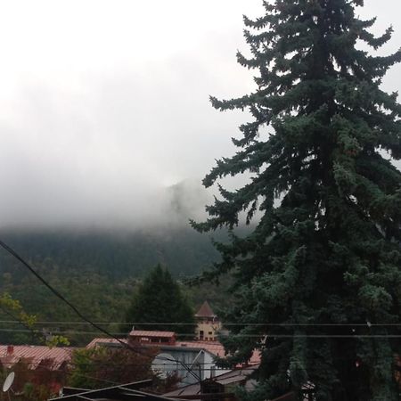 House Lia Hotel Borzsomi Kültér fotó